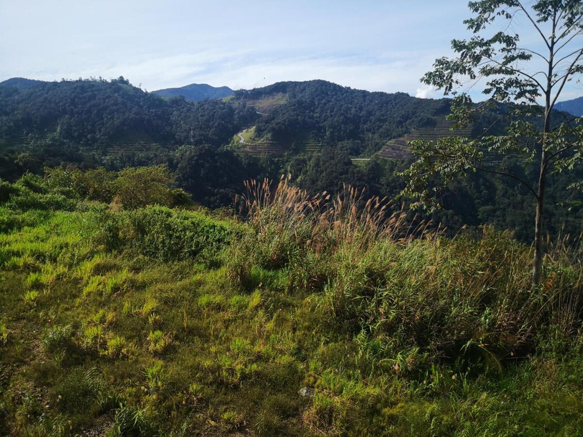 Lily Homestay Barrington Square Cameron Highlands. Brinchang Esterno foto